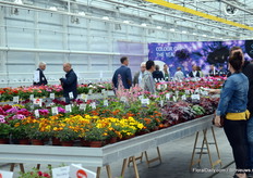 Het was lekker druk bij Selecta One.